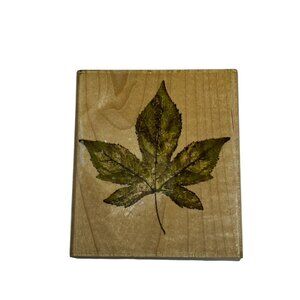 Rubber Stampede Wood Mounted Stamp Liquid Amber Maple Leaf Fall A2497H